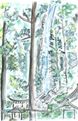 水彩画/那智の滝